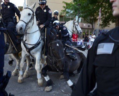 police-horse-knocked-down