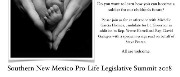 SNM Pro Life Legislative Summit 1