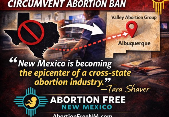 collage_export_B6EA65EA-93A4-4C2E-9E7C-2CB2DDB454FC