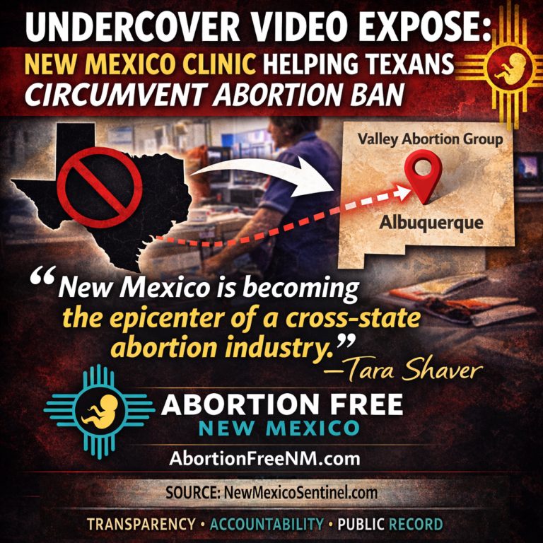 collage_export_B6EA65EA-93A4-4C2E-9E7C-2CB2DDB454FC